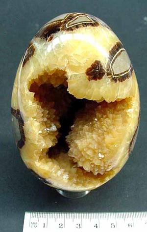 Septarian Nodule Egg