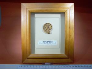 Beautifully Framed Fossil Ammonite