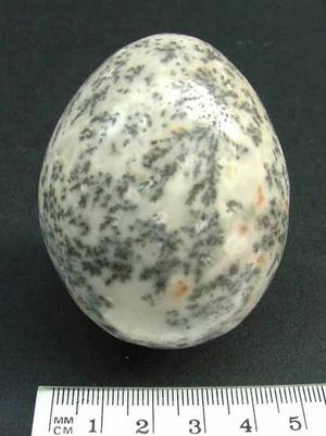 Dendritic Agate Egg